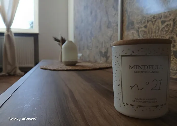 Urban Spacious Bright With Danubeview *