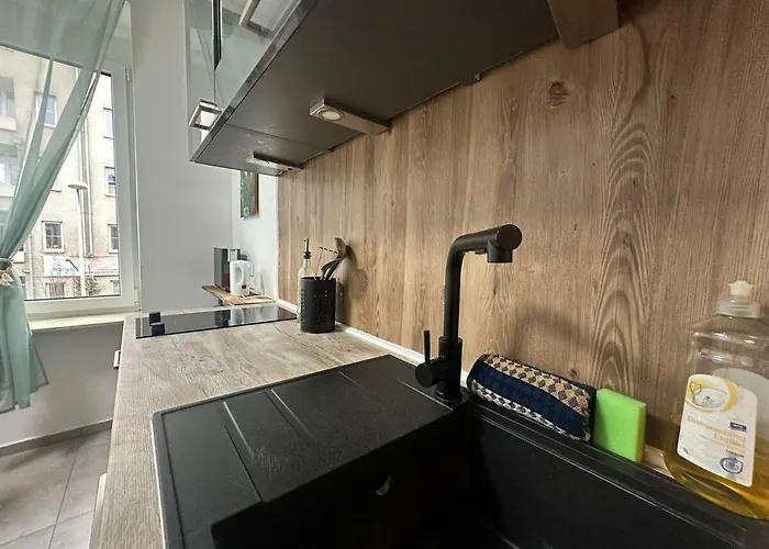 Urban Spacious Bright With Danubeview * 린츠