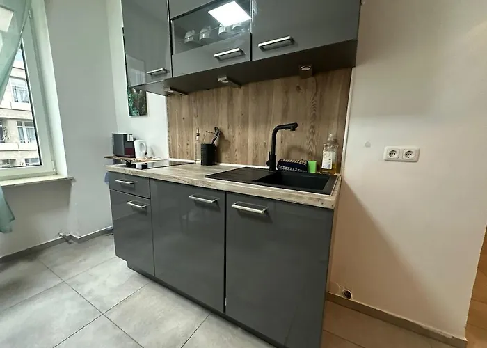 Apartment Urban Spacious Bright With Danubeview *