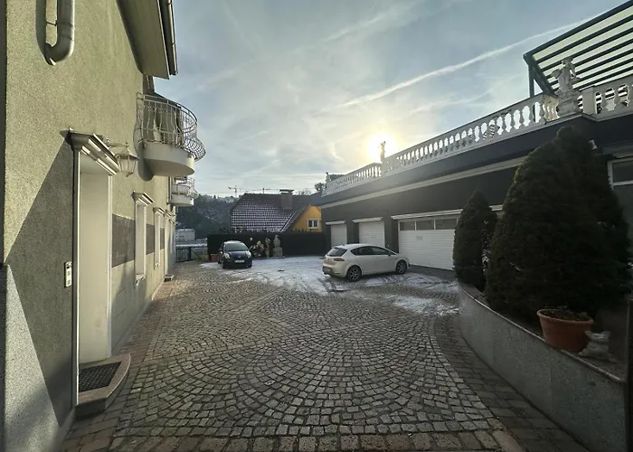 Urban Spacious Bright With Danubeview Apartment Linz